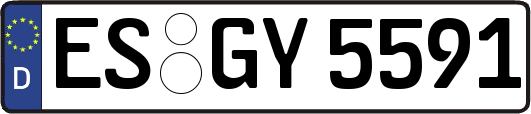 ES-GY5591