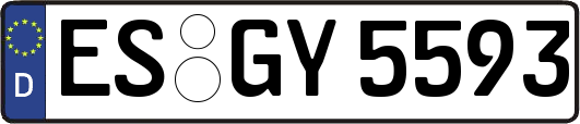 ES-GY5593