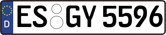 ES-GY5596