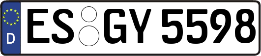 ES-GY5598