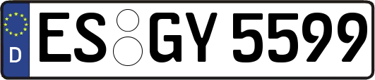 ES-GY5599