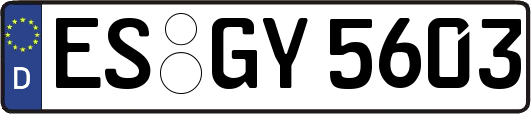 ES-GY5603