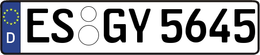 ES-GY5645
