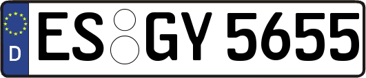 ES-GY5655