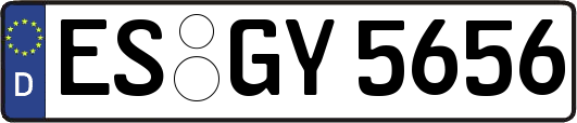 ES-GY5656