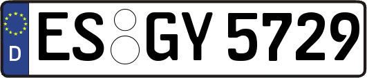 ES-GY5729