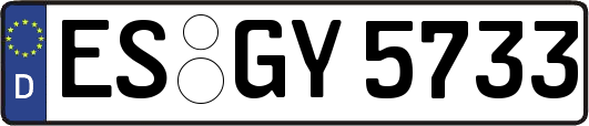 ES-GY5733