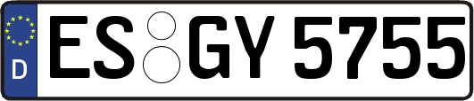 ES-GY5755