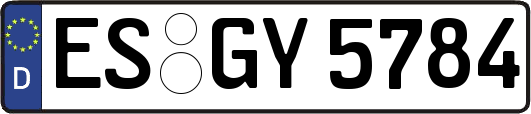 ES-GY5784