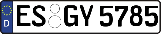 ES-GY5785