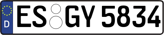 ES-GY5834