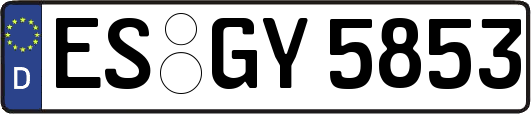 ES-GY5853