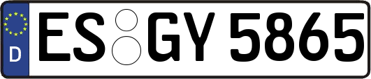 ES-GY5865