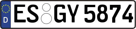 ES-GY5874