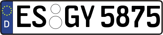 ES-GY5875