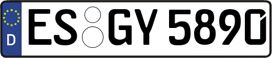 ES-GY5890