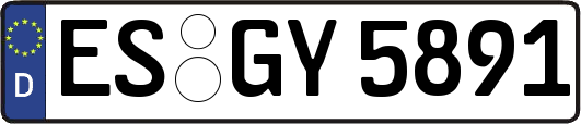 ES-GY5891