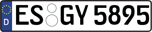 ES-GY5895