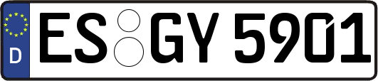 ES-GY5901