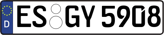 ES-GY5908