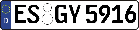 ES-GY5916