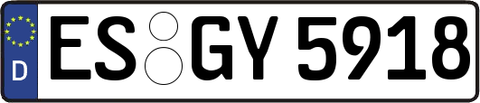 ES-GY5918