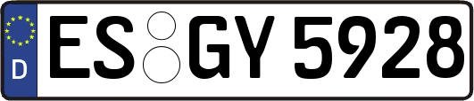 ES-GY5928