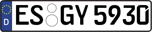 ES-GY5930