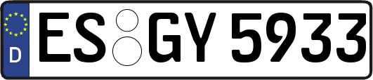 ES-GY5933