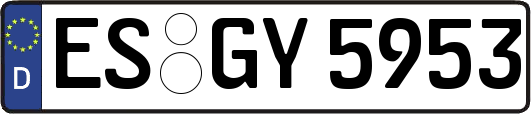ES-GY5953