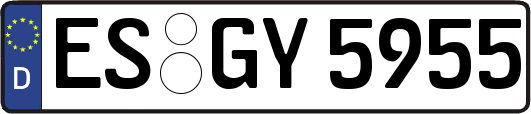 ES-GY5955