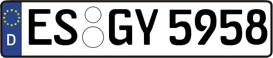 ES-GY5958