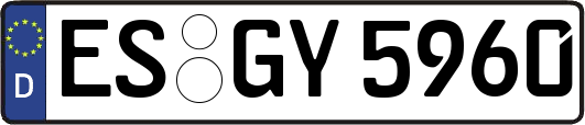 ES-GY5960