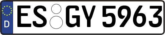 ES-GY5963