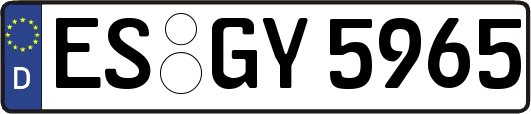 ES-GY5965
