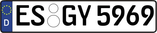 ES-GY5969