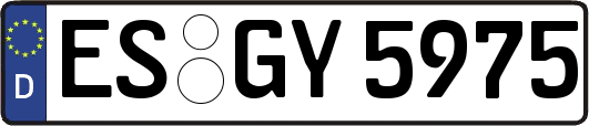ES-GY5975