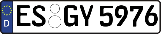 ES-GY5976
