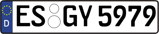 ES-GY5979