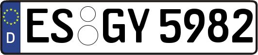 ES-GY5982