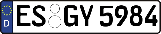 ES-GY5984