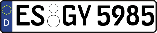 ES-GY5985