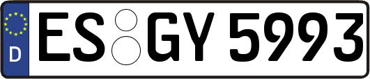 ES-GY5993