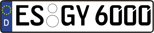 ES-GY6000