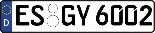 ES-GY6002