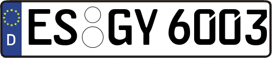 ES-GY6003