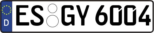 ES-GY6004