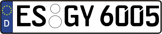 ES-GY6005