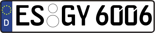 ES-GY6006