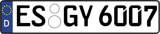 ES-GY6007